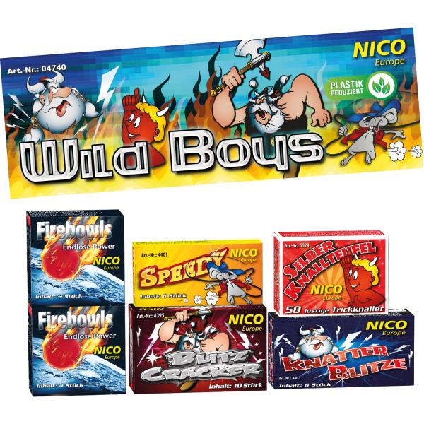 Wild Boys - 6 Schachteln sortiert